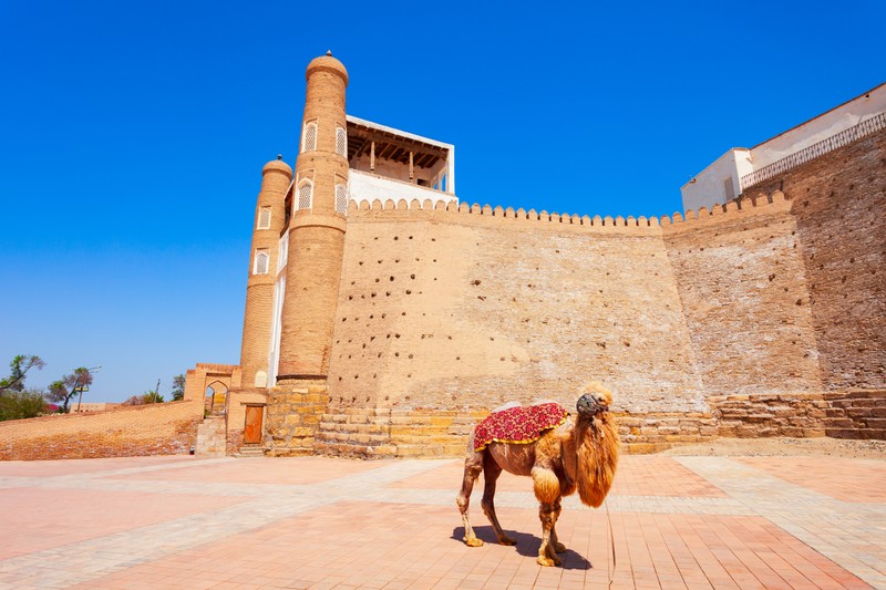 Второй день в Бухаре: скрытые сокровища города
