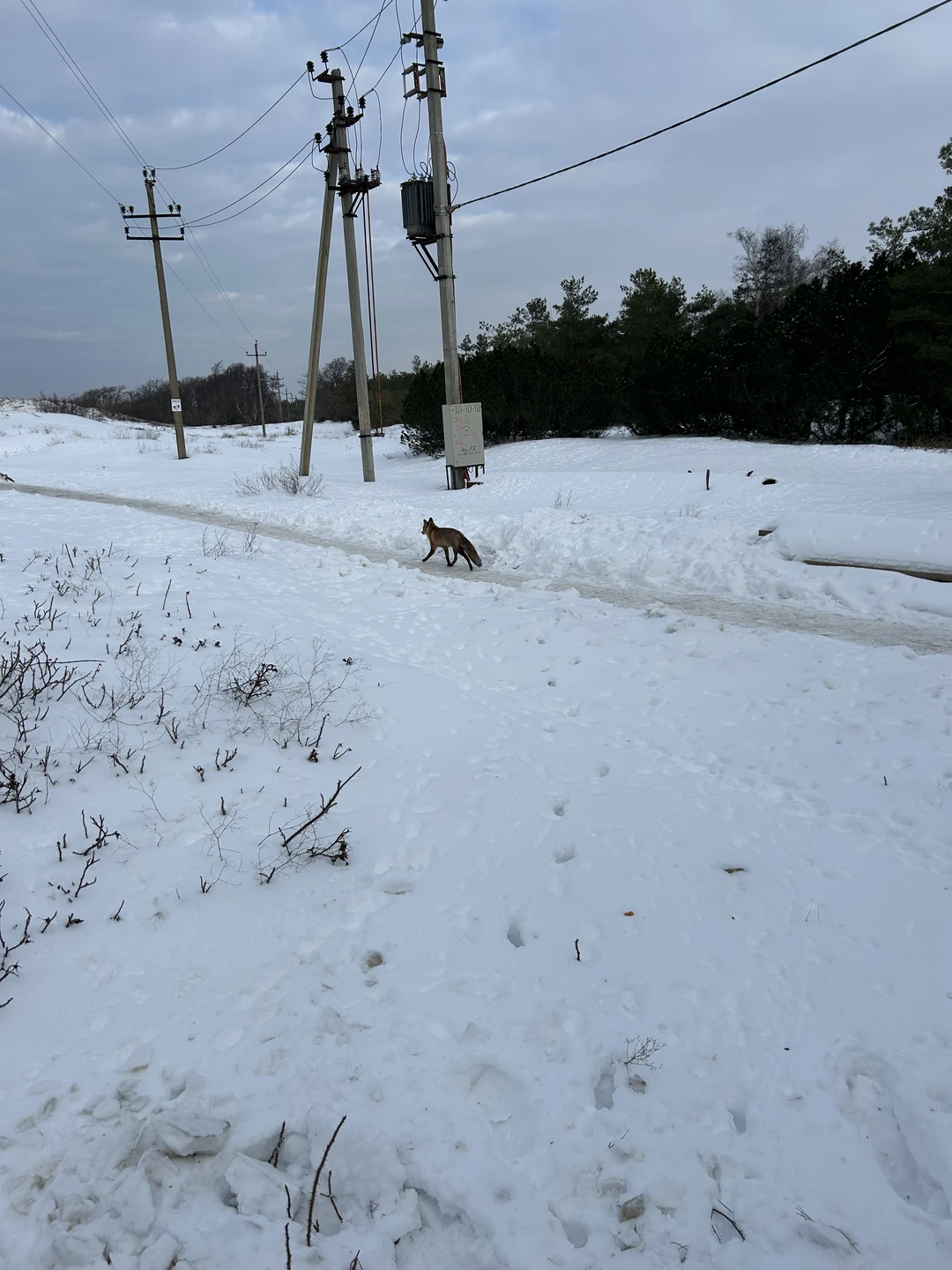 Спасибо экскурсоводу Ирине❤️ очень интересно, на все вопросы отвечала, хороший юмор 😊 Понравилось всё. Я сомневалась