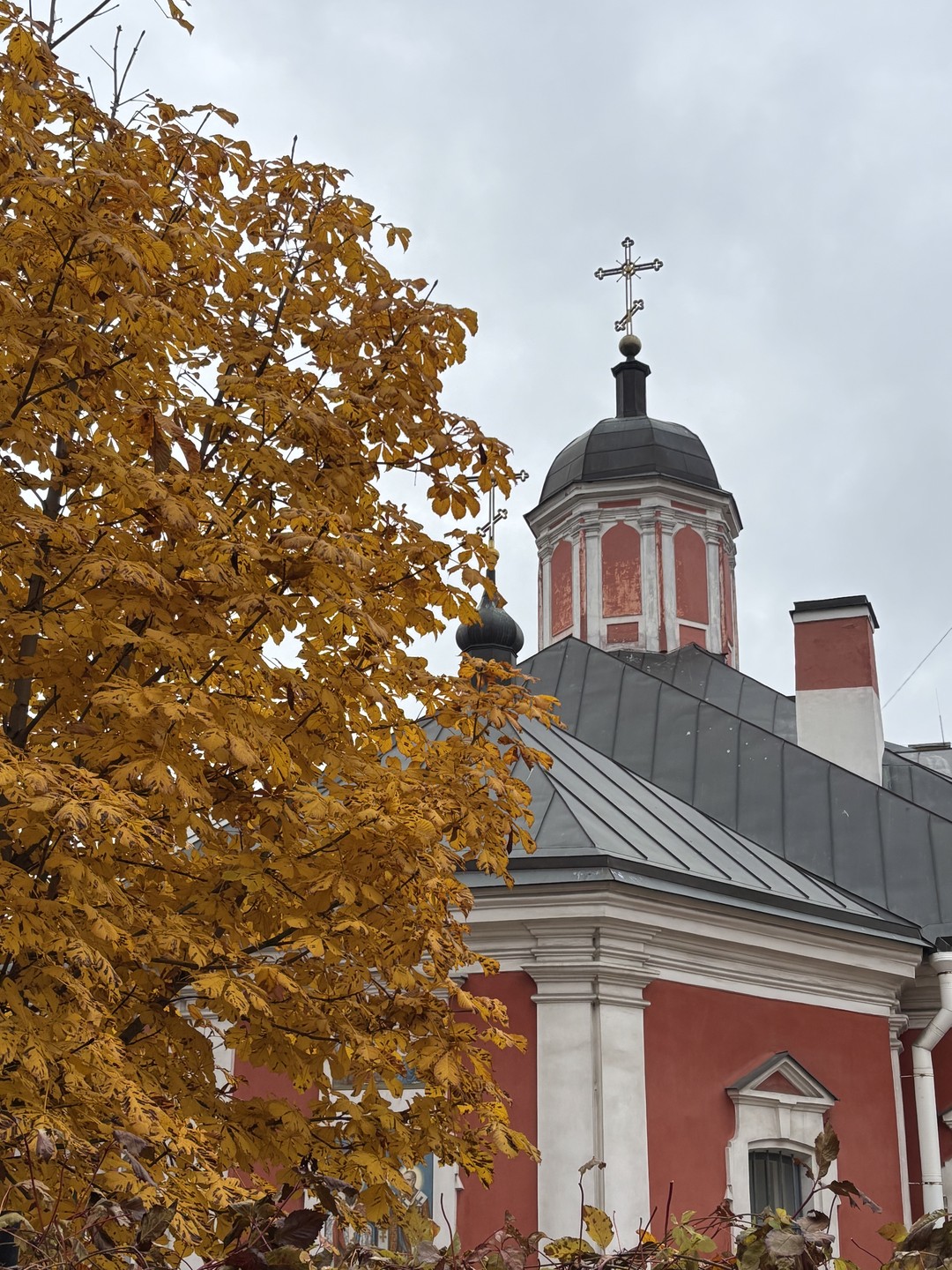 Секретные места Васильевского острова (Ольга)