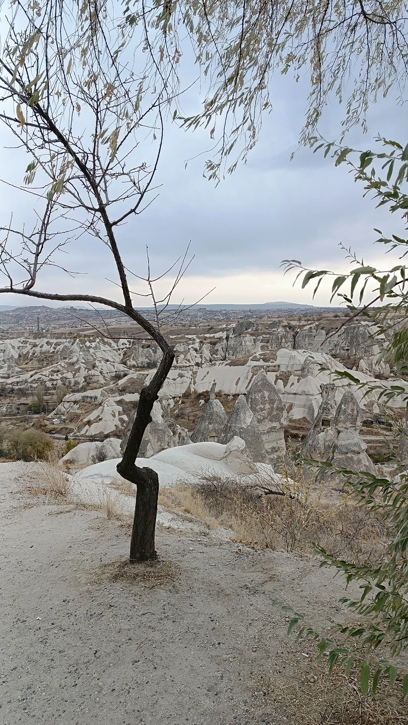 Были на экскурсии в ноябре с гидом Мариной. Она великолепно знает материал, интересно рассказывает, на вопросы