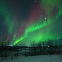 Фото отзыва 1: авторский тур "Главные места Кольского полуострова: Мурманск и Териберка"