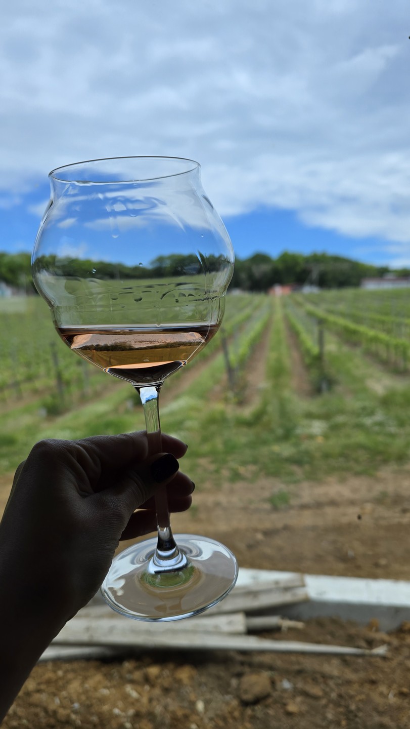 Прекрасно провели время благодаря Анастасии 🍇
