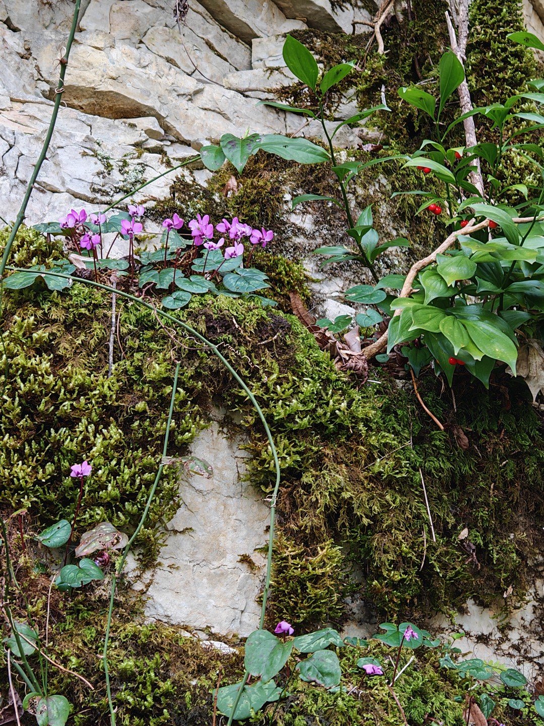 Были сегодня с Антоном на этой экскурсии. Все было великолепно! Огромное ему спасибо! Мы прекрасно провели время.