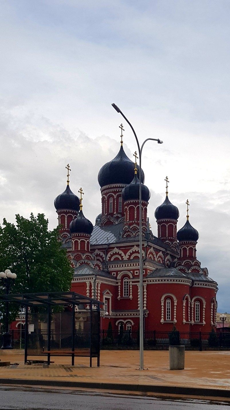 С Николаем наша семья на несколько часов погрузилась в тему войны 1812 года. Всем очень понравилось