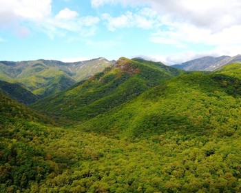 Остров Петрова: прогулки, купание, снорклинг и сапсёрфинг