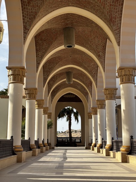 Замечательная прогулка с гидом Екатериной! Красивая локация, успели застать как светлое время суток, так и закат