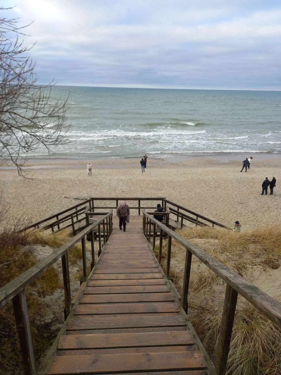 Всё понравилось) особенно сыроварня, высота Эфа. Танцующий лес не такой, как в интернете)