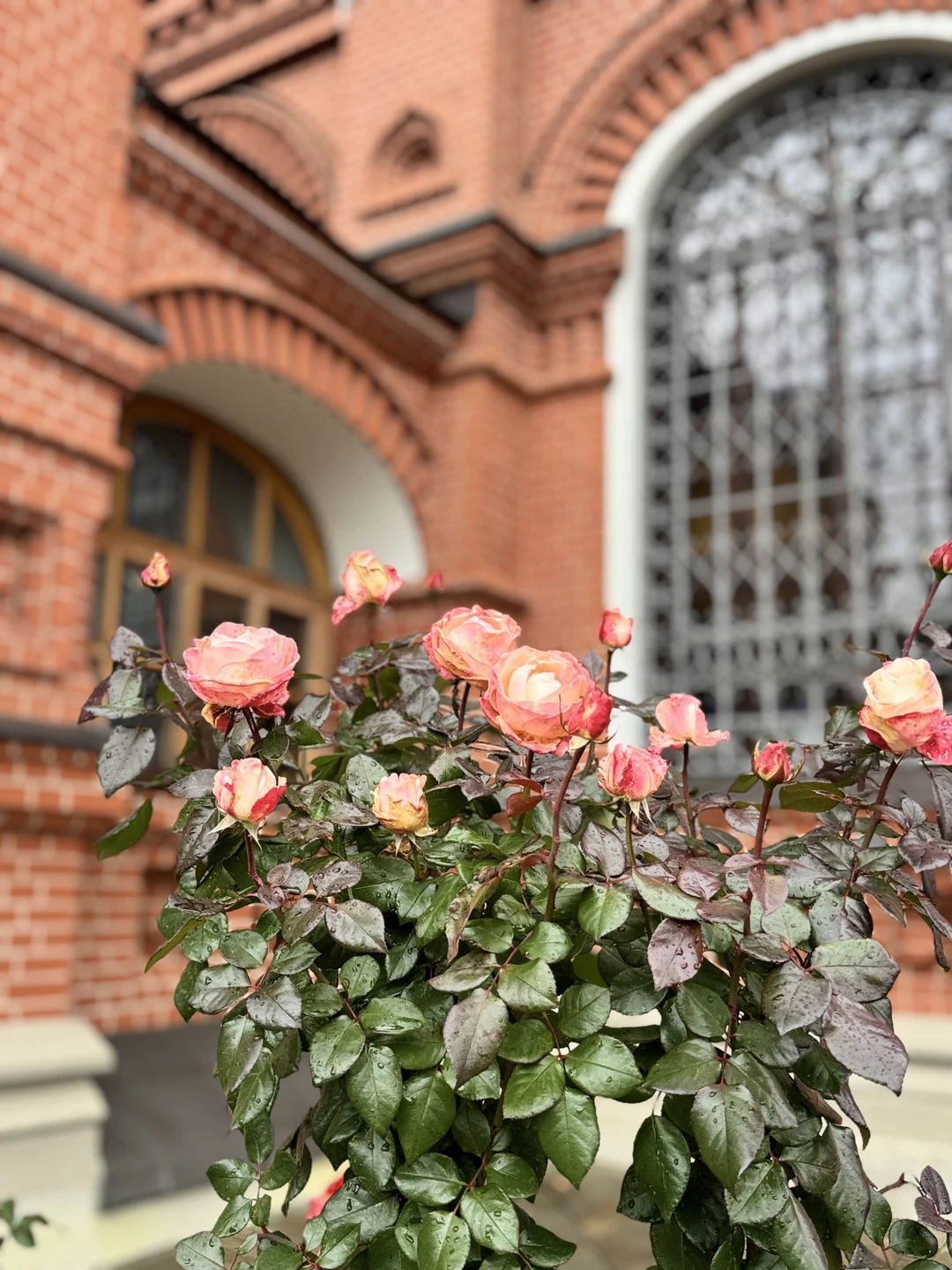 Отличная экскурсия!