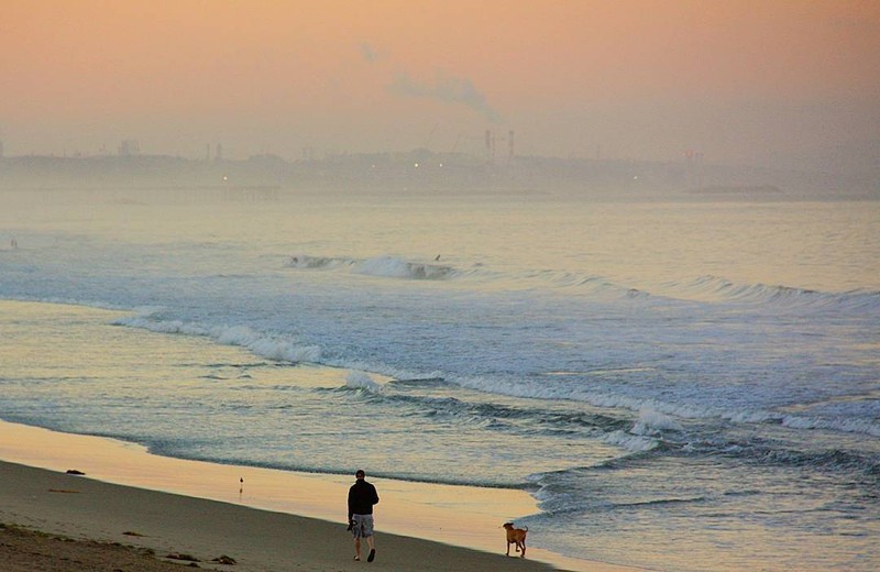 Фото отзыва 3: экскурсия "Пляжный мир: велопрогулка вдоль океана"