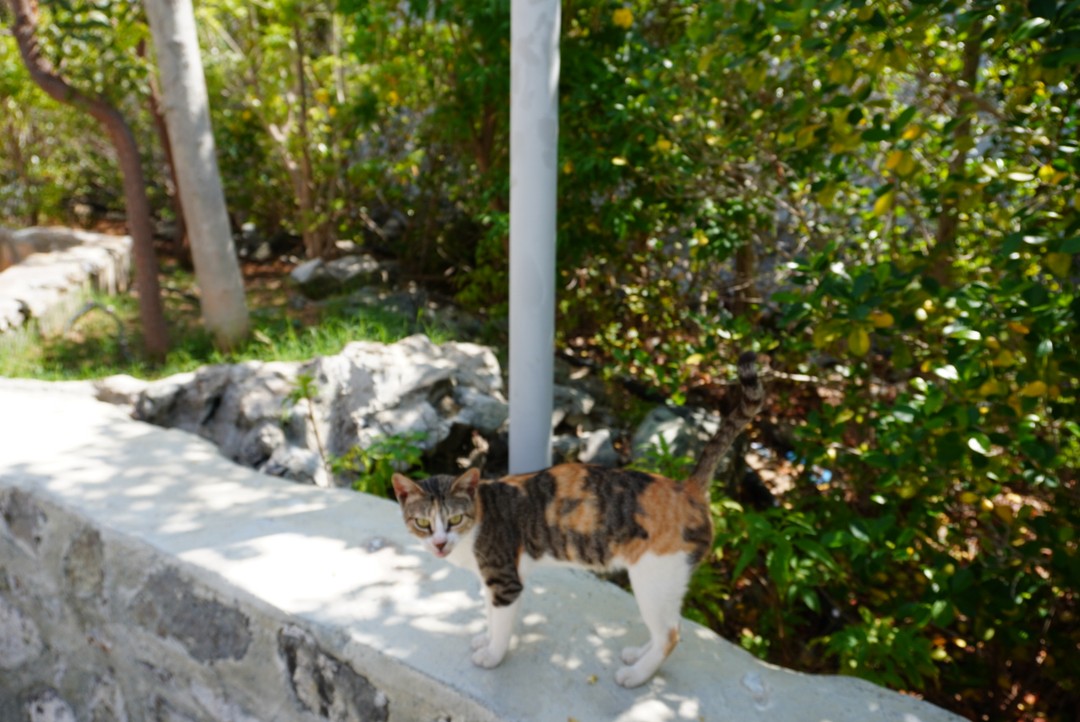 Прекрасная поездка с чудесной Натальей! Благодарим за интересный маршрут и приятную беседу. Были учтены все пожелания по экскурсии