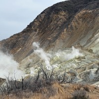 Фото отзыва 3: экскурсия "Из Токио — в национальный парк Хаконе!"