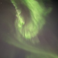 Фото отзыва 3: авторский тур "Наедине с северной природой: выходные в лесу с прогулками по Териберке и Мурманску"