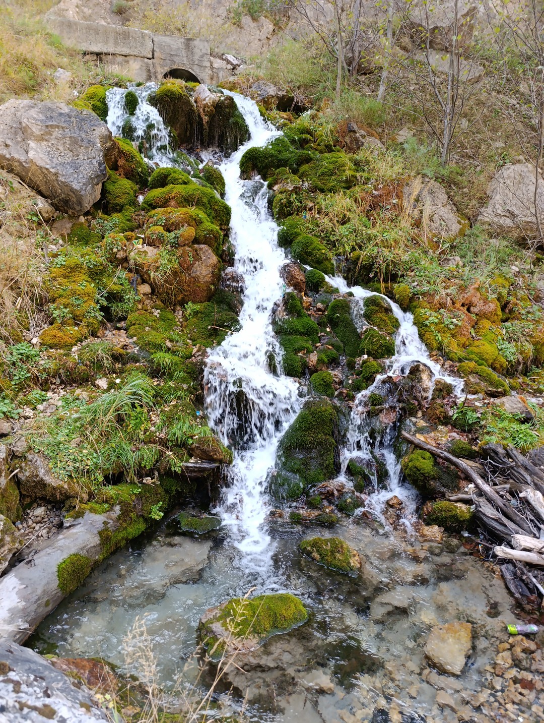 Отличная экскурсия, остались очень довольны. Увидели всю красоту гор, обязательно вернёмся ещё ❤️