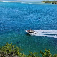 Фото отзыва 3: экскурсия "Южный Маврикий: дикое побережье"