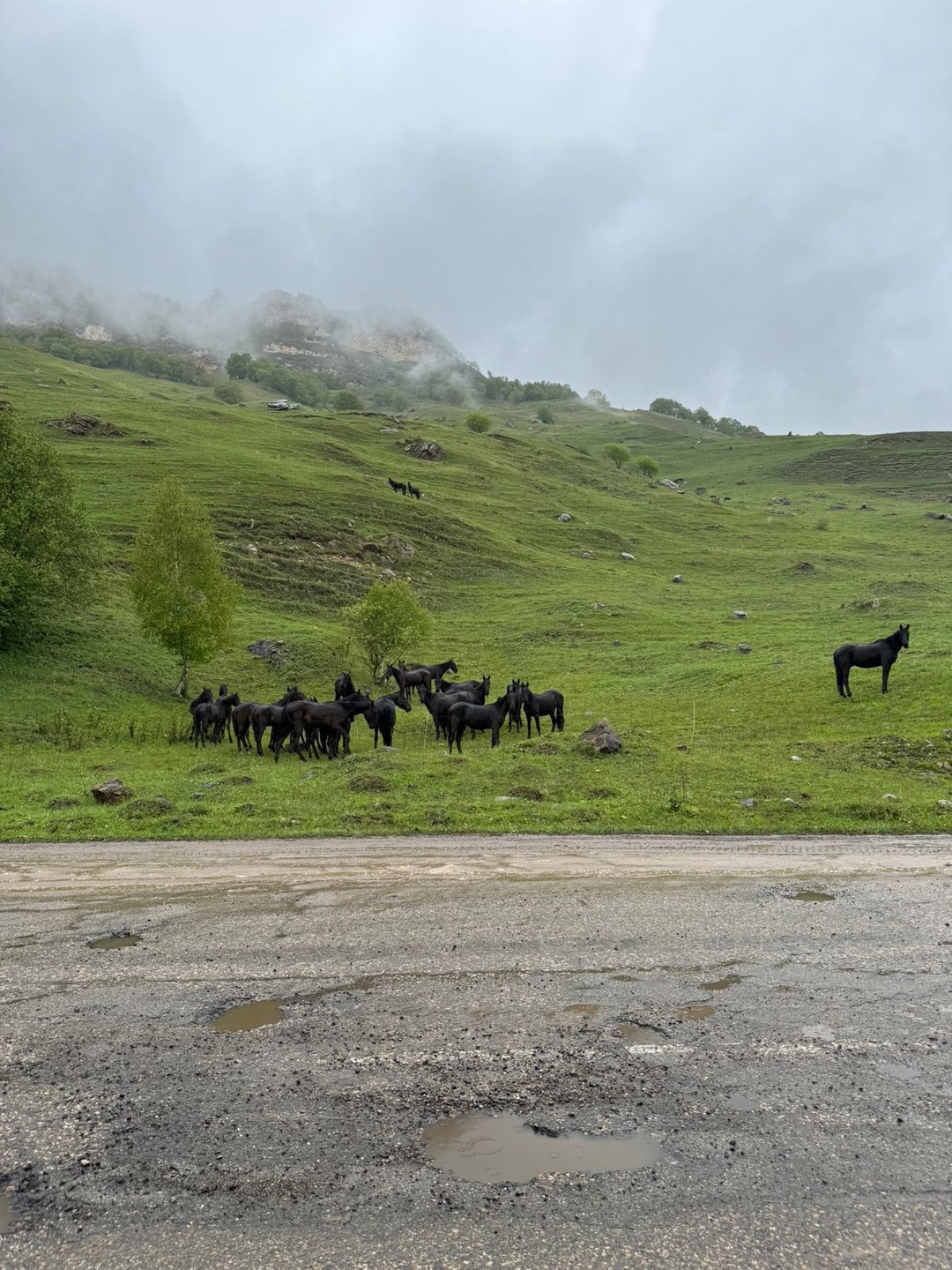 Насыщенное путешествие на Домбай в мини-группе из Пятигорска (Мария)