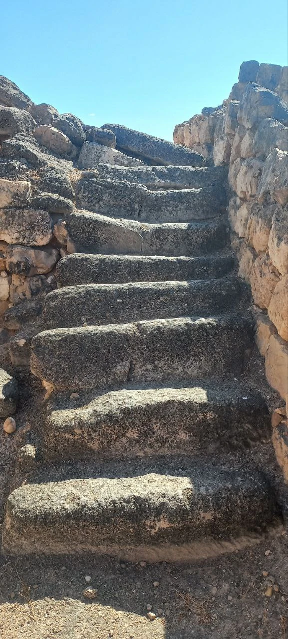 Посетили 14.01.26 экскурсию Восточная Салала с гидом Надеждой, было настолько комфортно, что мы совершенно не заметили