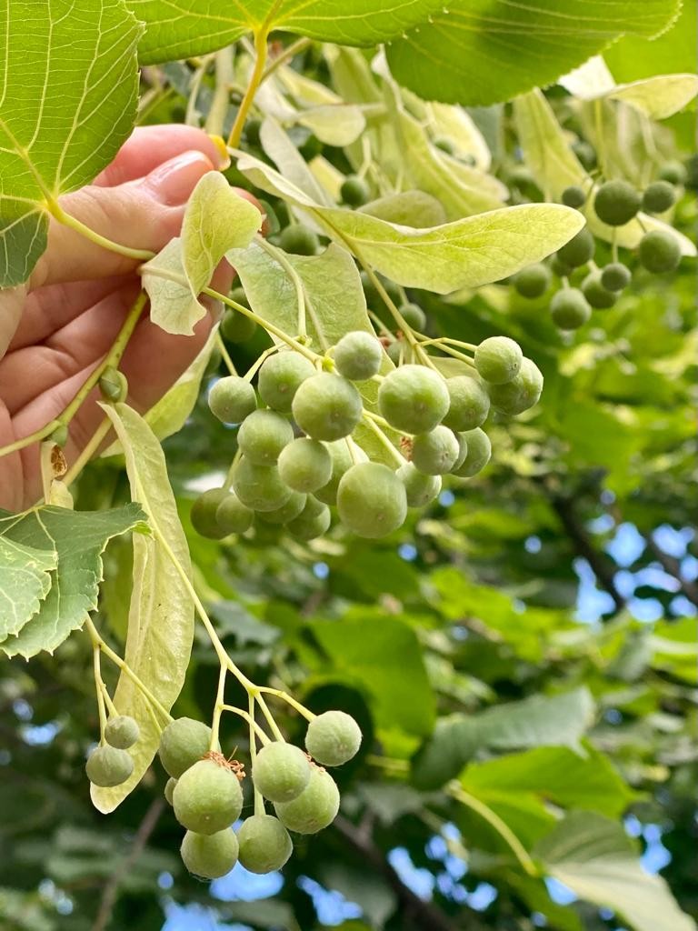 Огромное спасибо за красивую, увлекательную экскурсию! Андрей Алексеевич (или Алексей Андреевич… ох, простите, эта летучая память…)