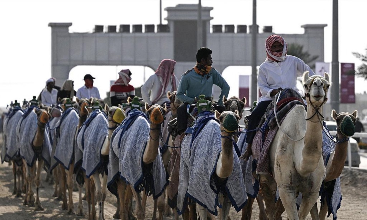 Аль-Шахания и Доха, или Другой Катар: когда главное уже посмотрели