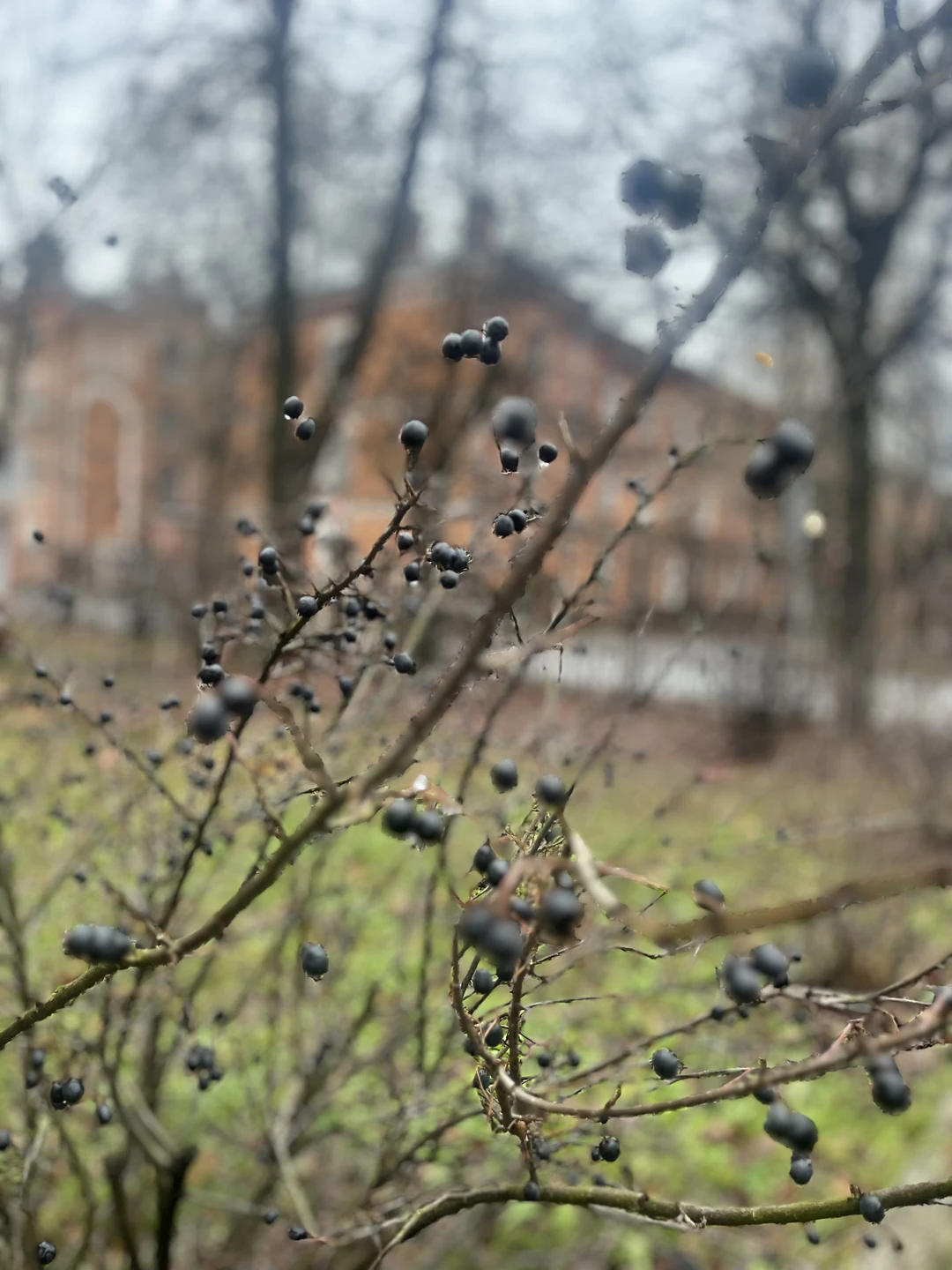 Какая прекрасная и интересная получилась прогулка! Осматривая здания мы познакомились с семьей Морозовых, через их семью