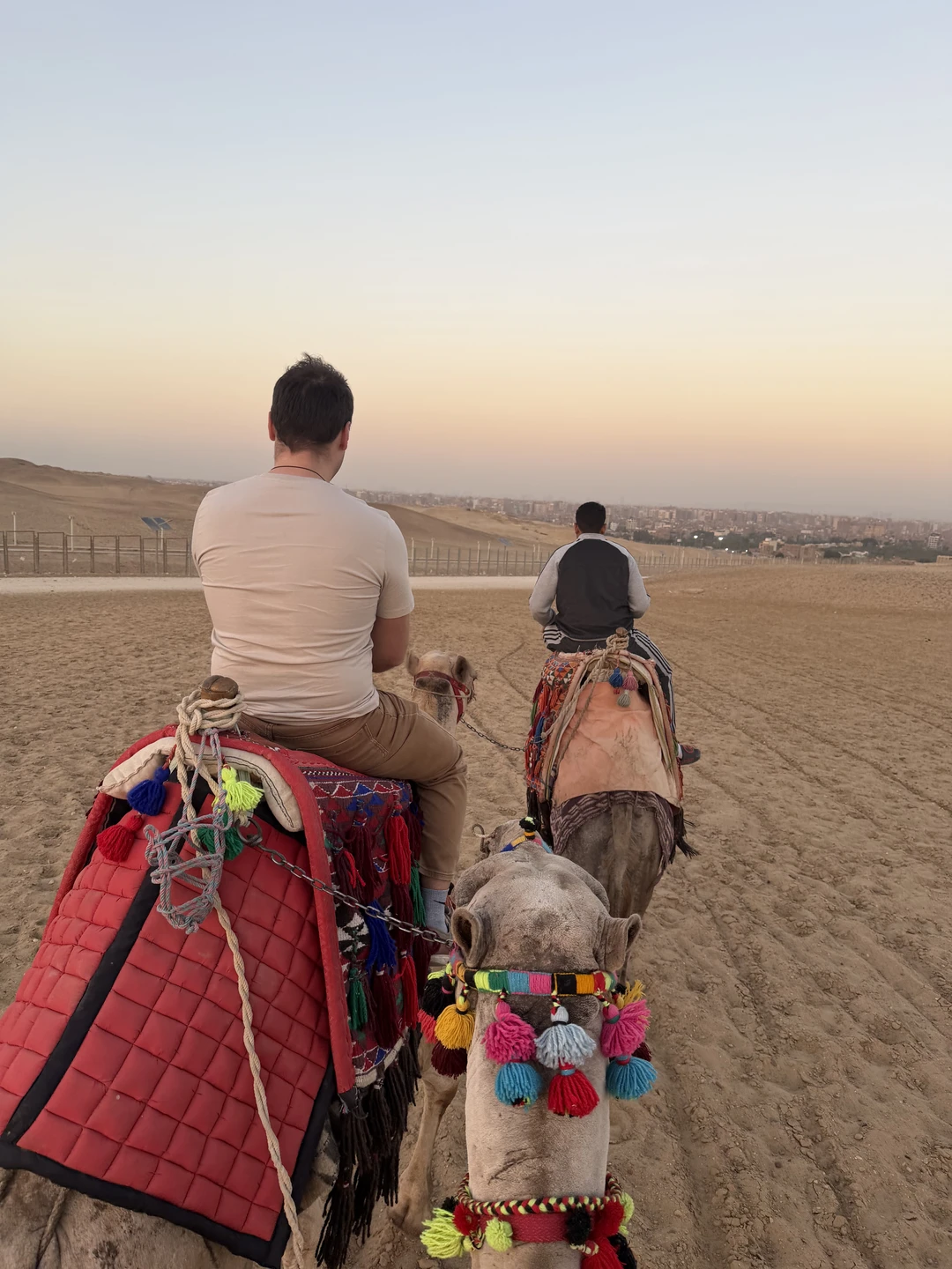 Спасибо огромное Мухаммеду и его команде за организацию экскурсии! Получили массу положительных эмоций и дельных советов!