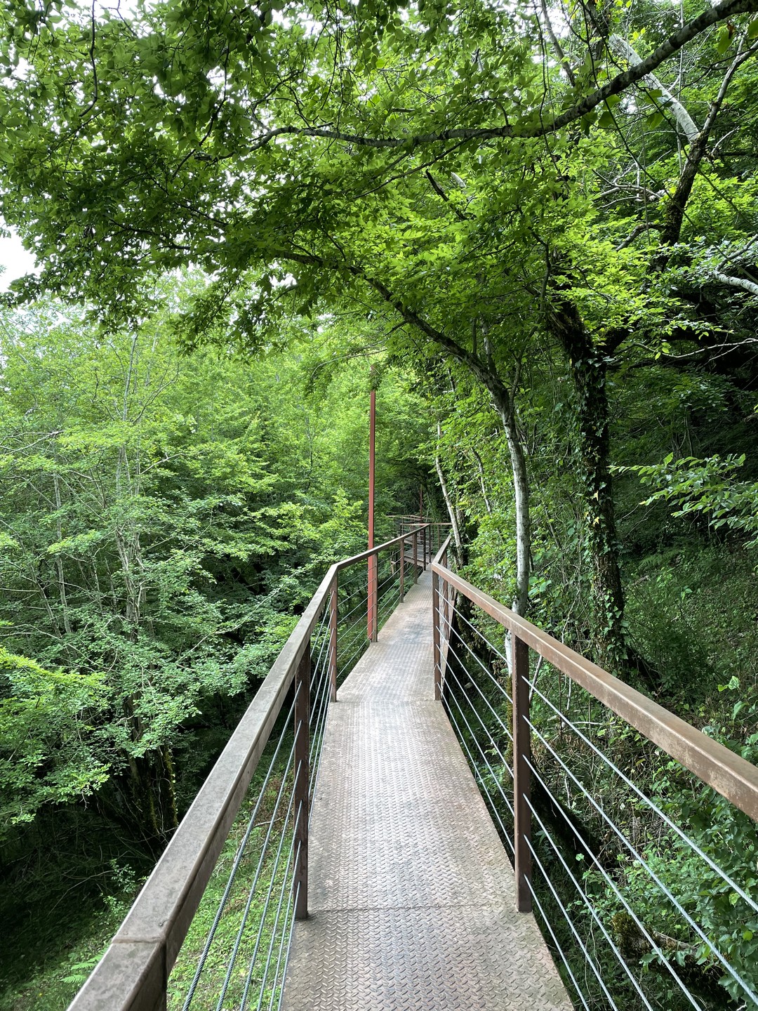Леван потрясающий экскурсовод и классный человек! Было максимально приятно слушать о Грузии от человека, который настолько
