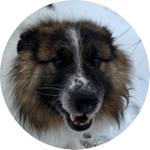 Максим