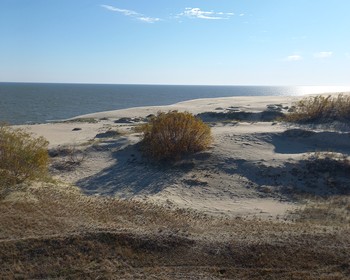 Куршская коса и Зеленоградск