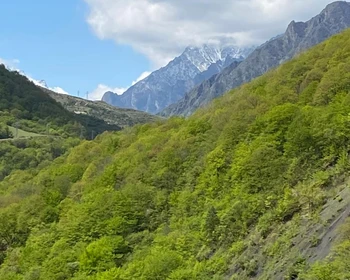 Экскурсия по желанию и выезд