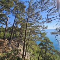 Фото путешественника — 2
