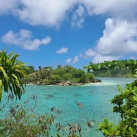 Seyshel orollarida jinsiy ekskursiya