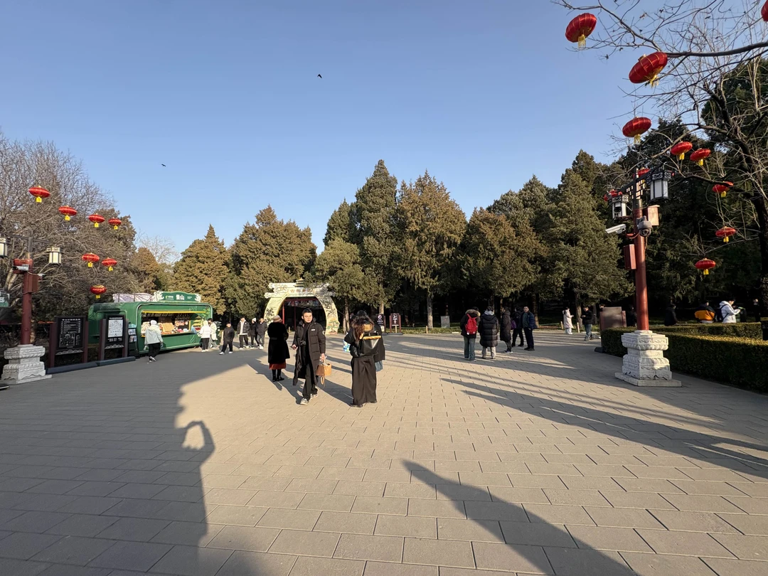 Пекин и Великая Китайская стена за 1 день: индивидуальная VIP-экскурсия (Михаил)