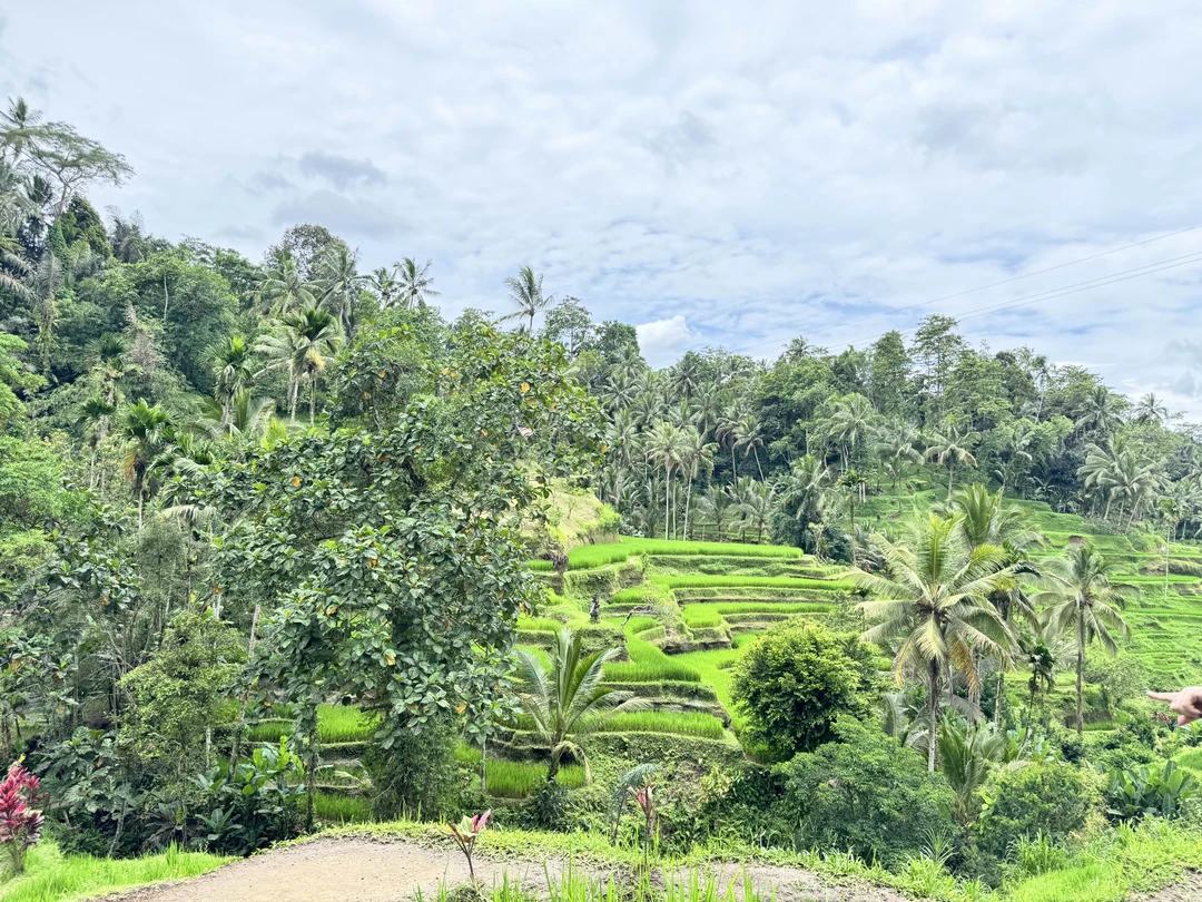 Экскурсия была очень увлекательной и разнообразной, с утра нас забрали на трансфере и мы поехали на