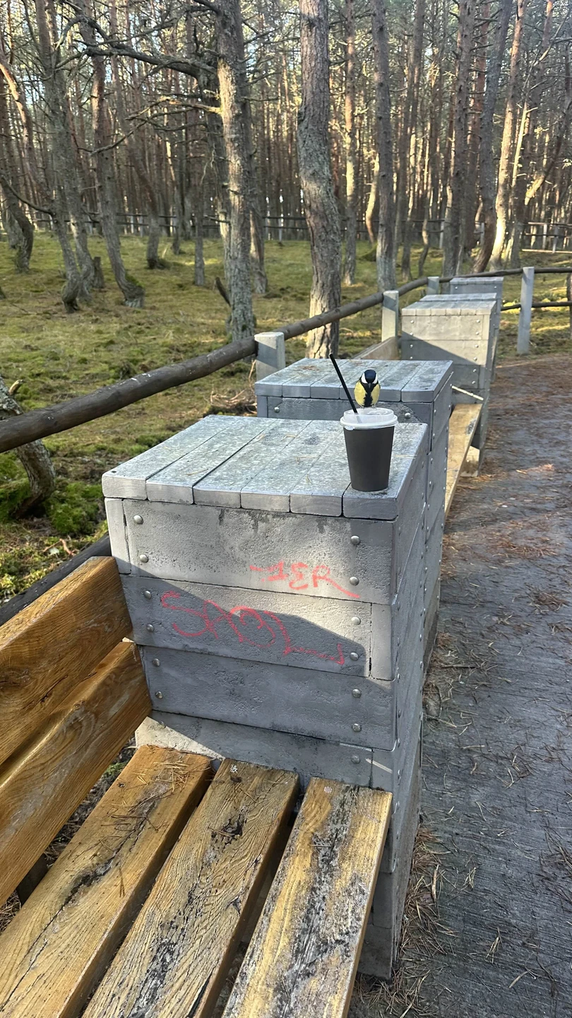 Все было отлично) прекрасно продуманный маршрут)