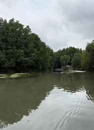 Фото отзыва 3: экскурсия "Экспедиция в мангровые джунгли"