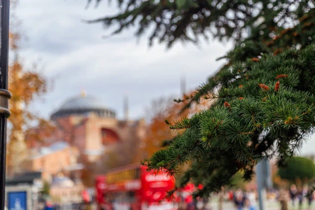 Фотопрогулка «Великолепный Стамбул» (Анна)