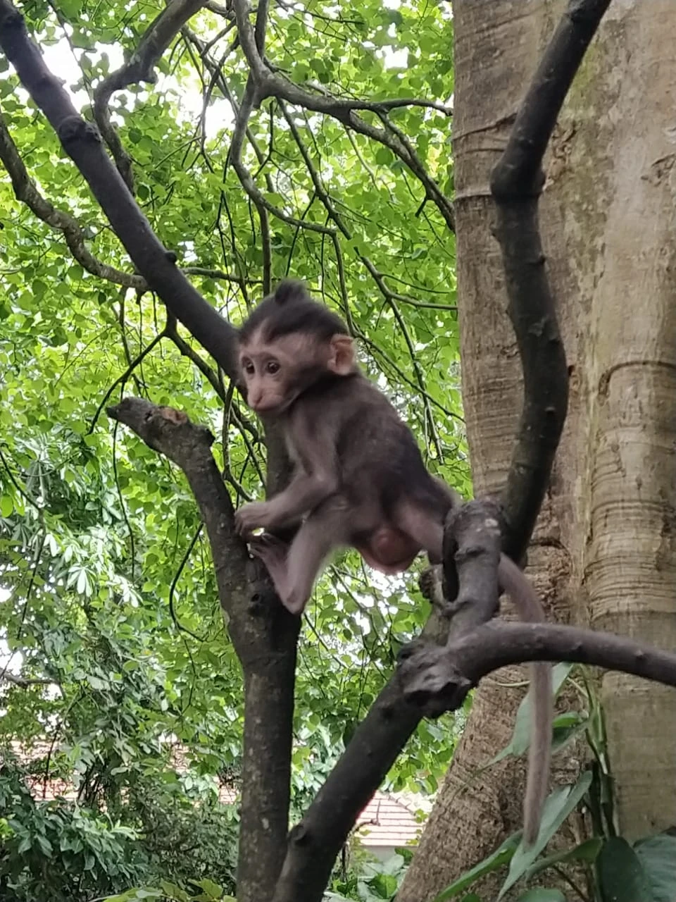 6 ноября ездили на экскурсию с гидом Эрди. Очень рекомендую!