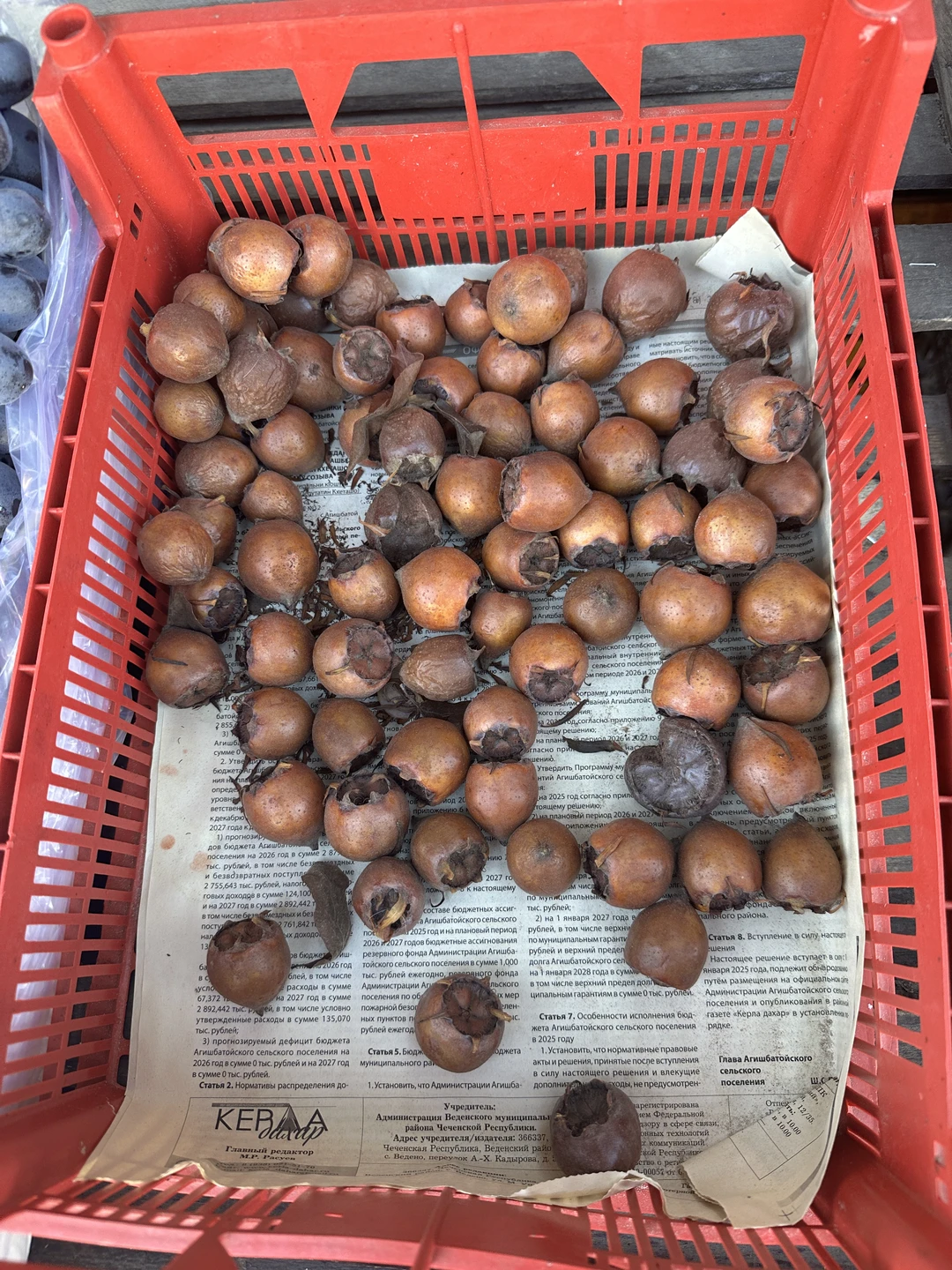 组织者并没有提前一天通知我，第二天的游览路线有变化，是导游接到我之后，我才知道改变了游览路线。但是导游Сулумбек很热情，负责，也很有耐心，我当天身体不太舒服，也没有睡好，导游知道后，让我自己在最后一排可以休息，还贴心的给我找了抱枕让我可以躺着休息，每到一个景点都会询问我是否好些了，是否要去游览这个景点？还贴心的带我们去当地的市场购买当地的食物，真的好便宜，而且还吃到了之前没吃过的当地食物。整体是十分开心的，给导游点赞！