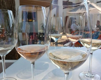 Регион Стелленбош, школа пинотажа и практика выбора блюд