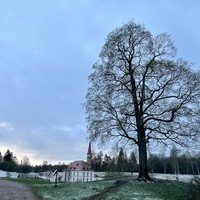 Фото отзыва 2: экскурсия "Вечерняя Гатчина: мистика, замки, легенды…"