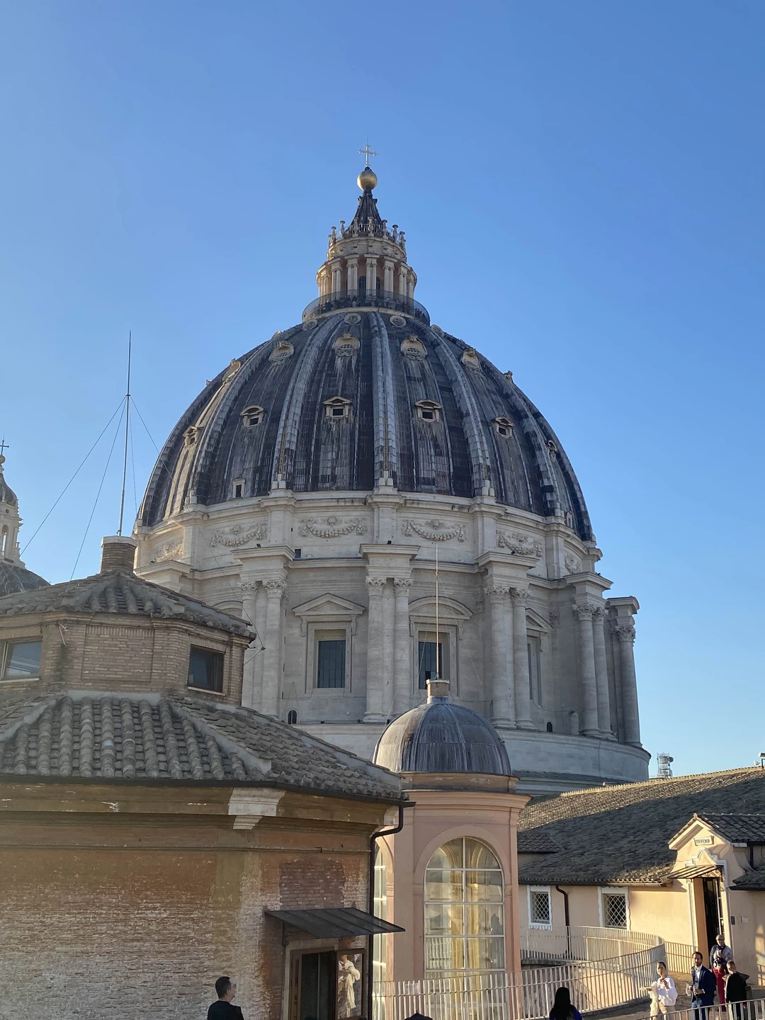 Музеи Ватикана - с историком (Алина)