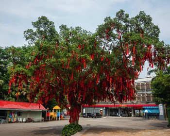 Окончание тура