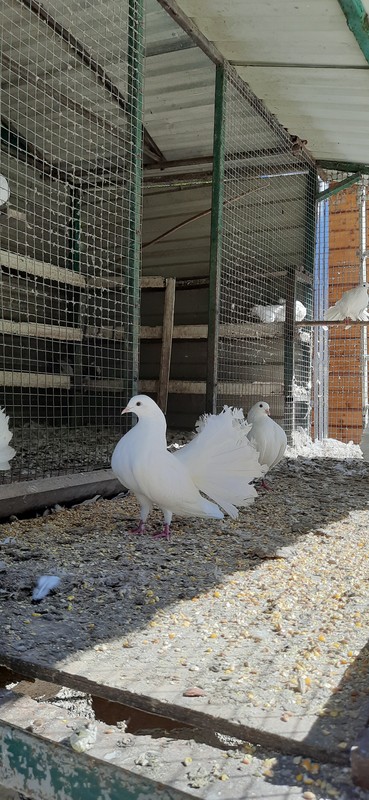 Виды Сочи: удивись перед отъездом (из Адлера)