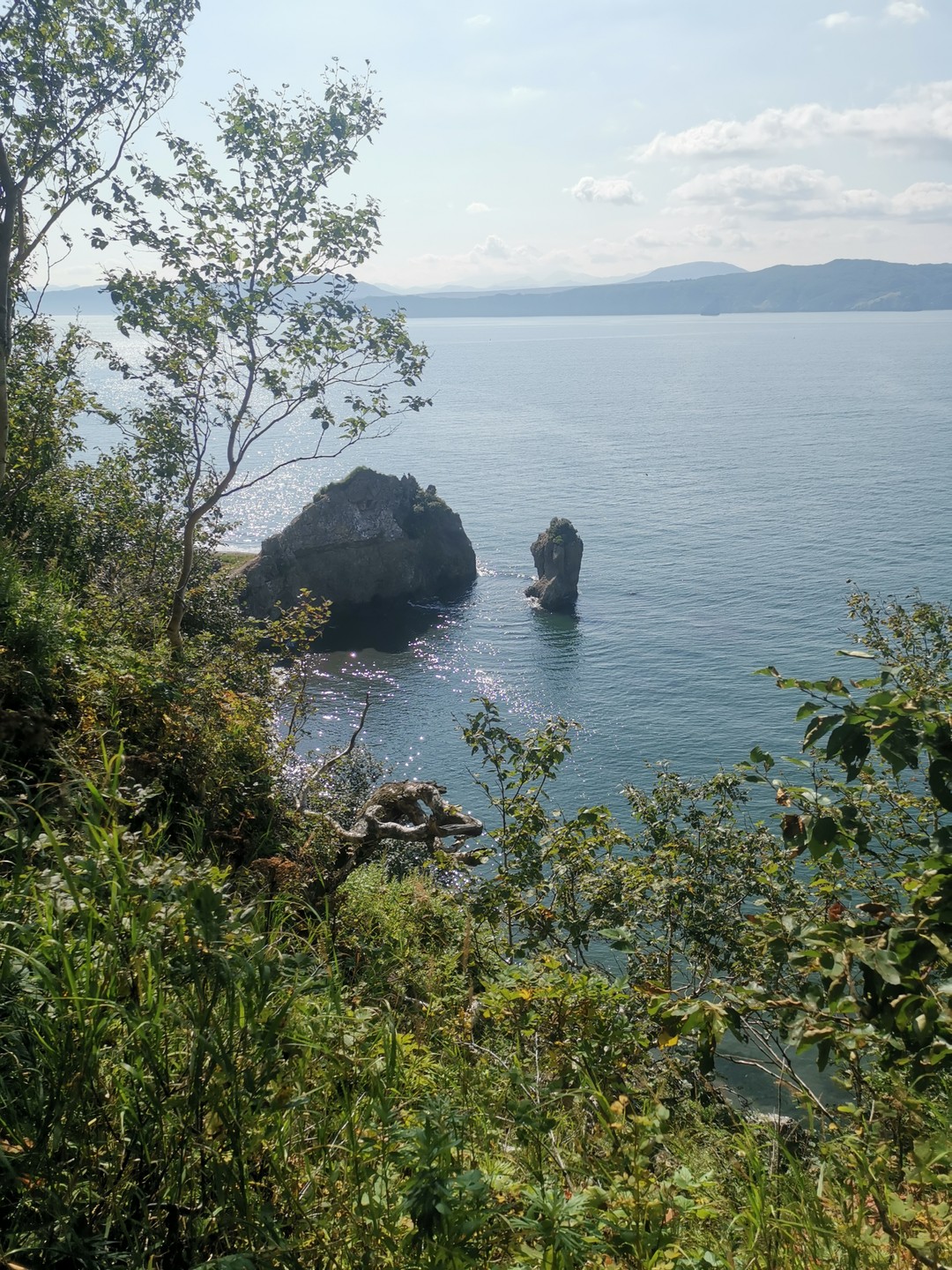 Огромное спасибо Дмитрию за насыщенную красотами поездку! Узнали много интересных фактов о Камчатке. Было много видовых остановок
