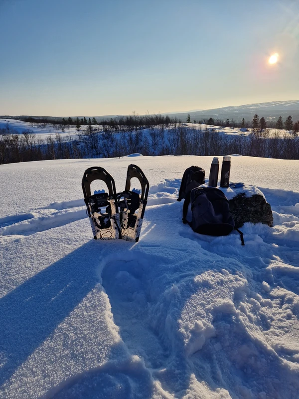 Виды Активная прогулка на снегоступах в окрестностях Мурманска