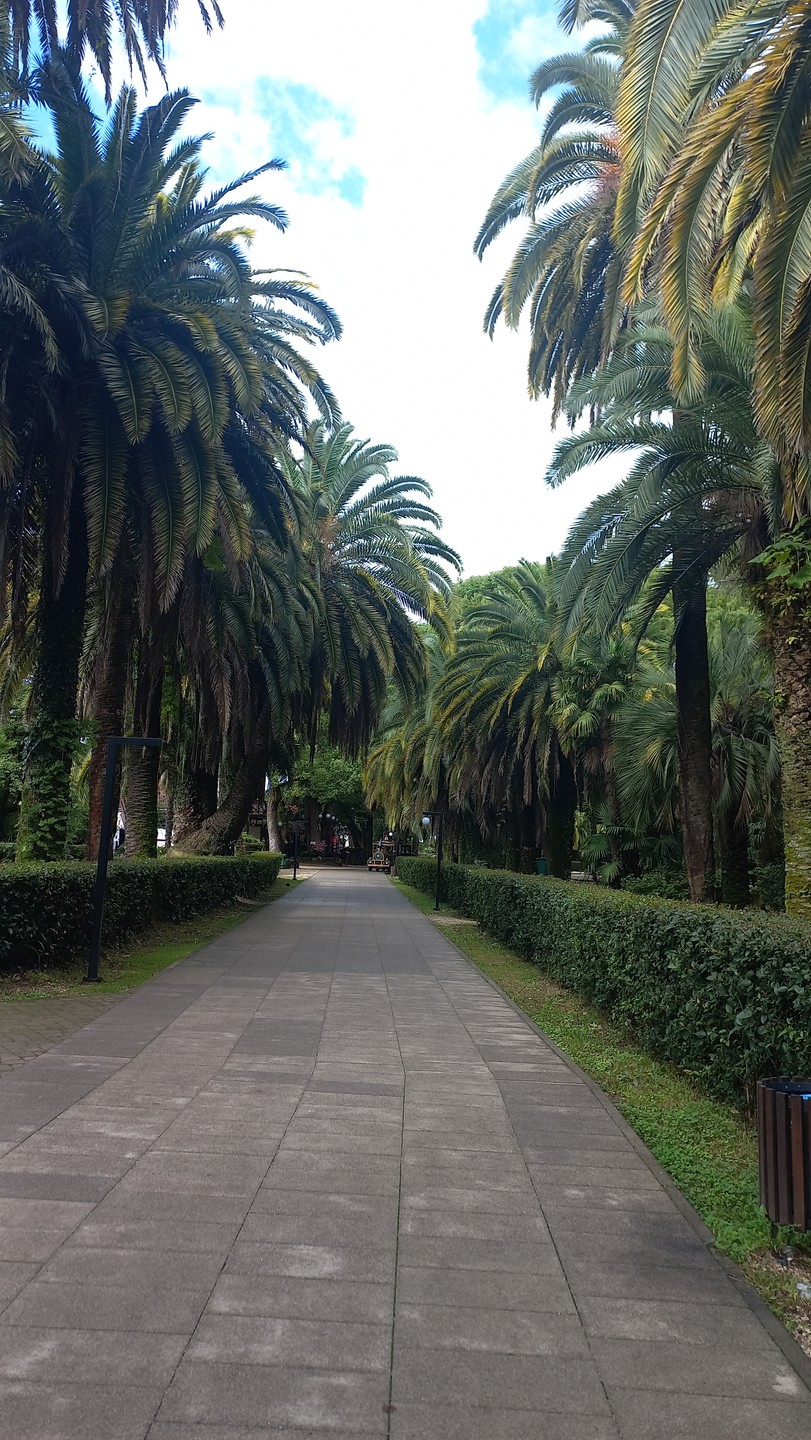 Из Сочи - в Гагру, Новый Афон и на озеро Рица за красотой и наследием Абхазии (Елена)