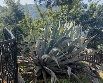 Истлада и крепость Симена