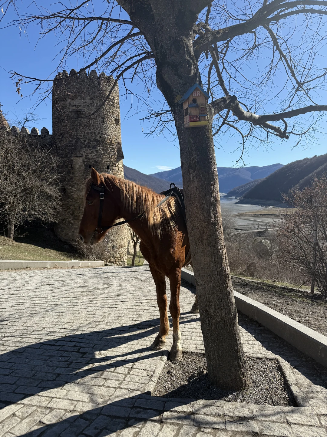 Ездили на экскурсию 20.02