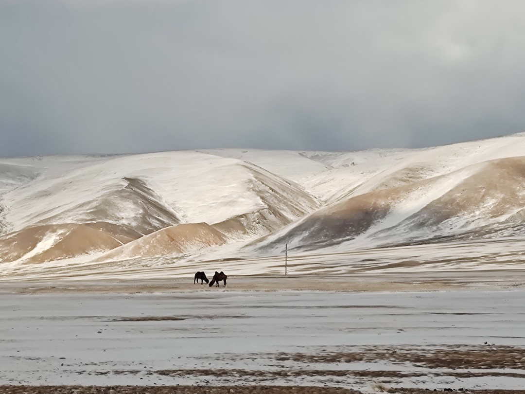 8ми-дневная поездка на Алтай и в Монголию на фестиваль Беркутчи стала определенной одной из самых запоминающихся.