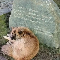 Фото отзыва 1: экскурсия "Музыкально-гастрономическое знакомство с Владикавказом"