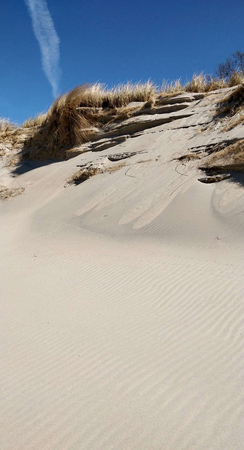 Путешествие на Куршскую косу через Зеленоградск и замок Нессельбек (Анна)